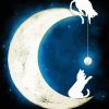 White Cats Moon Paint By Number