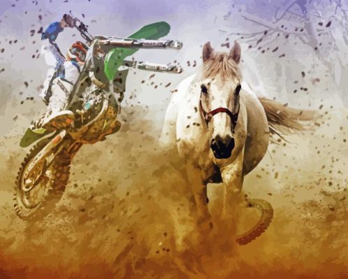 White Horse And Motorcycle Paint By Number