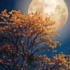 Yellow Tree In The Night Sky Moon Paint By Number