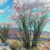 Abstract Ocotillo Plants Paint By Number