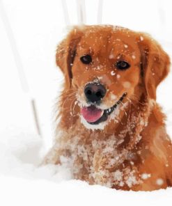 Adorable Golden Retriever Dog In Snow Paint By Number