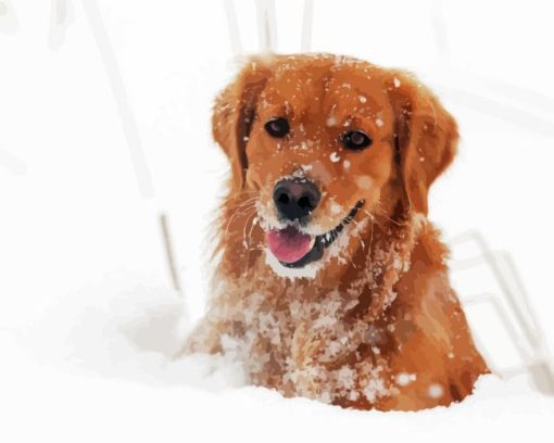 Adorable Golden Retriever Dog In Snow Paint By Number