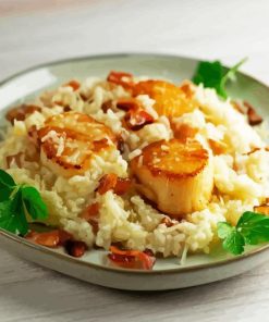 Bacon Scallop Risotto Paint By Number