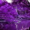 Beautiful Purple Garden Paint By Numbers