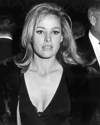 Beautiful Actress Ursula Andress Paint By Numbers