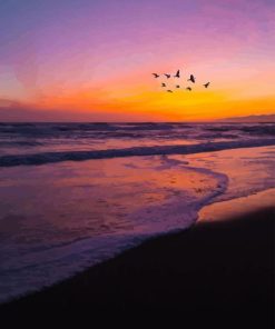 Birds Flying Over The Beach At Sunset Paint By Number
