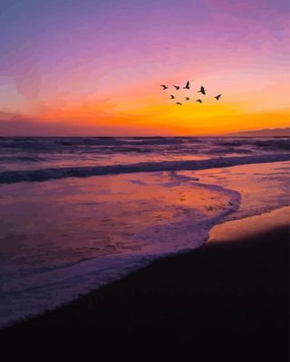 Birds Flying Over The Beach At Sunset Paint By Number