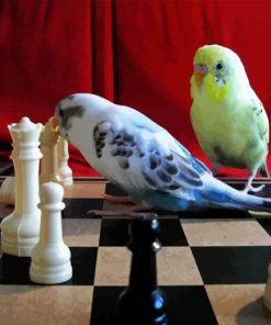 Birds Playing Chess Paint By Number