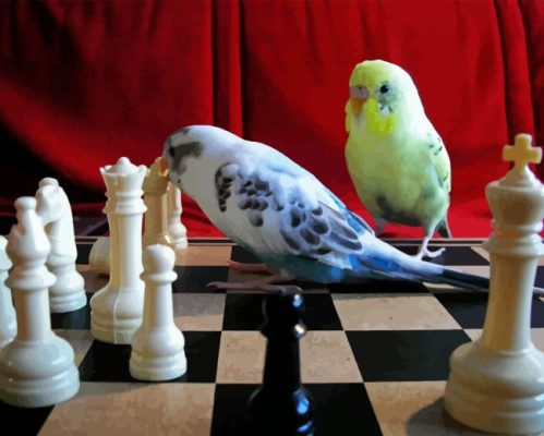 Birds Playing Chess Paint By Number