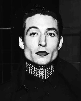 Black And White Ezra Miller Paint By Number