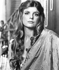 Black And White Katharine Ross Paint By Number