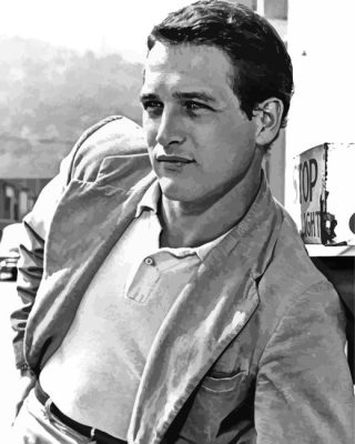 Black And White Paul Newman Actor Paint By Numbers