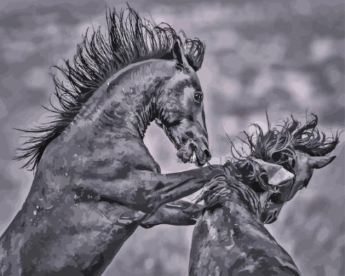 Black And White Fighting Horse Paint By Number