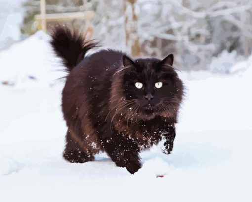 Black Cat In Snow Paint By Numbers