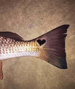 Black Heart Redfish Tail Paint By Numbers