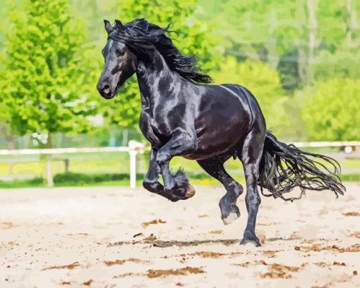 Black Horse Friesian Paint By Numbers