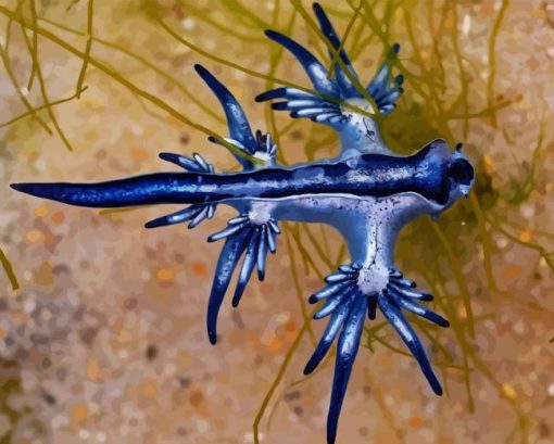 Blue Dragon Glaucus Paint By Number