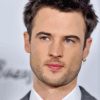 British Actor Tom Sturridge Paint By Number