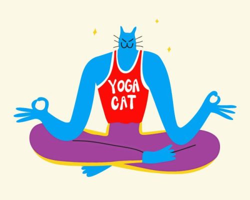 Cat Yoga Illustration Paint By Number