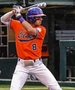 Clemson University Baseball Player Paint By Number