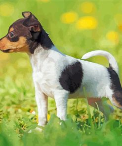Cute Fox Terrier Puppy Paint By Number