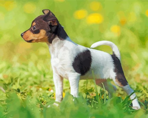 Cute Fox Terrier Puppy Paint By Number