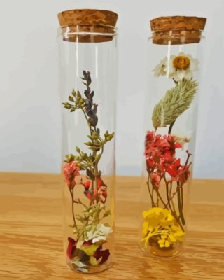 Dried Flowers Inside A Bottle Paint By Number