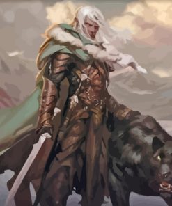 Drizzt Dourden Game Character Paint By Number