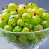 Gooseberries In Bowl Paint By Number