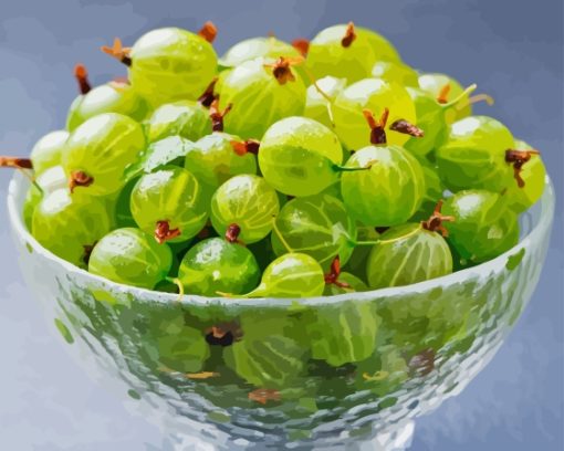 Gooseberries In Bowl Paint By Number
