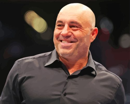 Joe Rogan American Actor Paint By Number