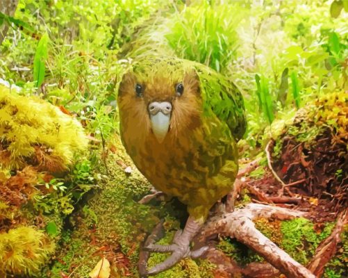 Kakapo Bird Paint By Numbers