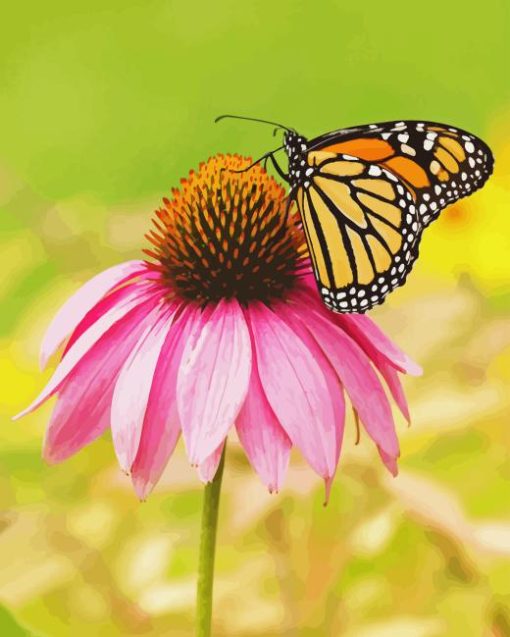 Monarch Butterfly On Pink Coneflower Paint By Number