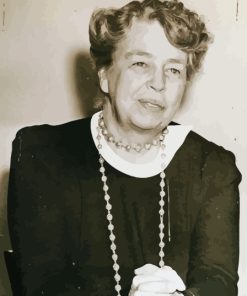 Monochrome Eleanor Roosevelt Paint By Number