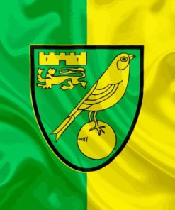 Norwich City Fc Flag Paint By Number