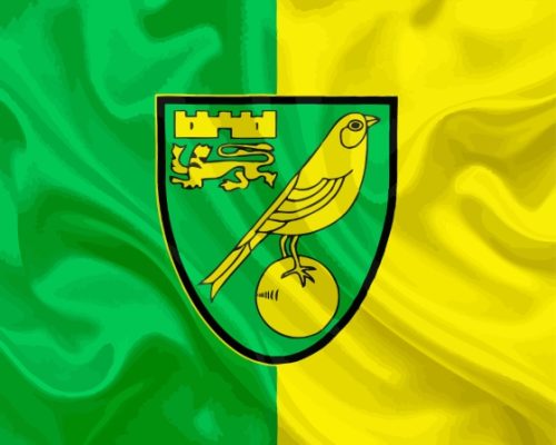 Norwich City Fc Flag Paint By Number