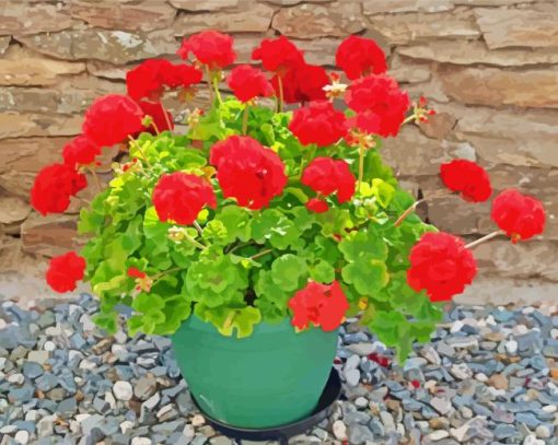 Red Flowers Geraniums In Pot Paint By Number