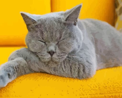 Sleepy Grey Kitty Paint By Number