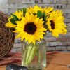 Sunflowers In Jar Paint By Numbers