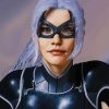 The Black Cat Felicia Paint By Numbers