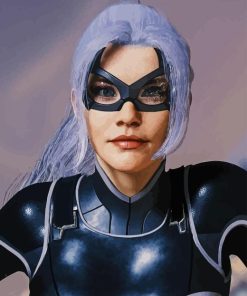 The Black Cat Felicia Paint By Numbers