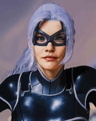 The Black Cat Felicia Paint By Numbers