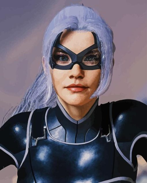 The Black Cat Felicia Paint By Numbers