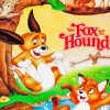 The Fox And Hound Movie Paint By Number