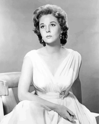 Vintage Susan Hayward Paint By Numbers