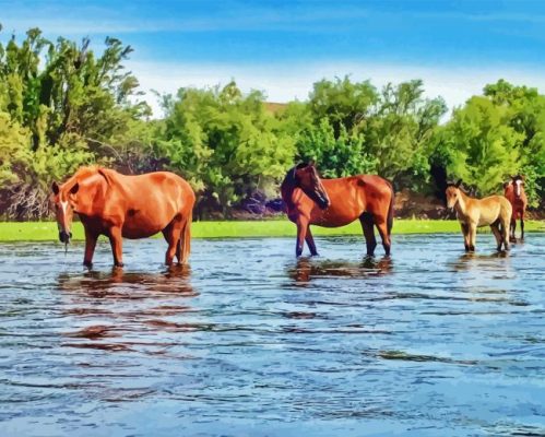 Wild Horses In Arizona Salt Paint By Number