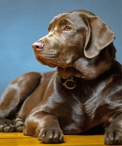 Brown Labrador Dog Paint By Number