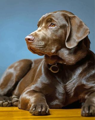 Brown Labrador Dog Paint By Number