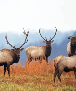 Elk Herd Paint By Numbers