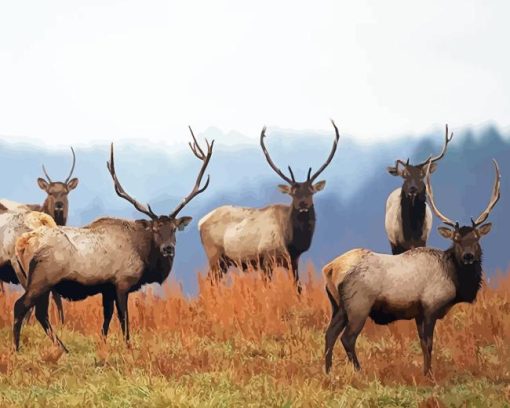 Elk Herd Paint By Numbers